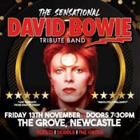 The Sensational David Bowie Tribute Band